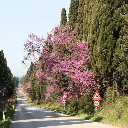 Casaleaurelia Apartman Bibbona