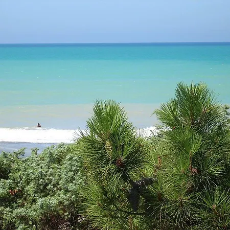 Casaleaurelia 毕博纳