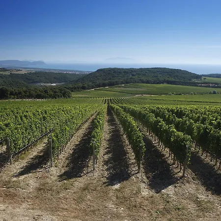 Casaleaurelia Apartment Bibbona